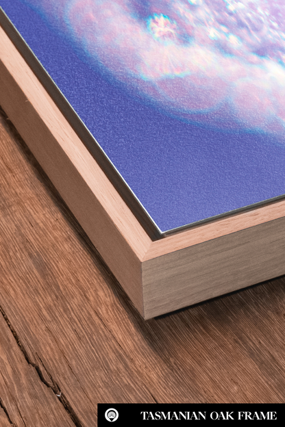 Lightness of Being K41